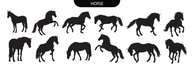 Fototapeta premium Horse Silhouette. Horse Animal Silhouettes Set in Various Black Vector Movements and Poses