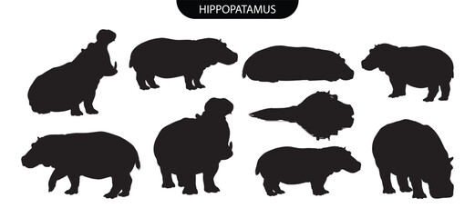 Fototapeta premium Hippopotamus silhouette. Set of black hippopotamus animal vector silhouettes in walking, standing, and resting poses for river wildlife illustrations