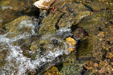 High angle view of watrer cascading over stones and rocks in flowing woodland stream