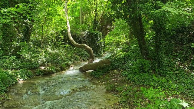 Bachkovo waterfalls cascade in Rhodopes Mountain, Plovdiv region, Bulgaria