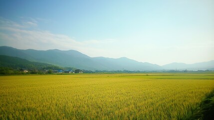 landscape with green field and mountains