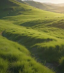 Sunlit, rolling green hills with vibrant grass blades , daylight, rolling hills, bright