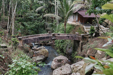 Stone bridge over a serene river in the lush jungle of Bali, Indonesia, surrounded by tropical vegetation