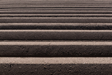 AGRICULTURE - Ridges in a potato field
