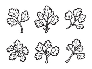 Parsley Leaves Minimalist Art