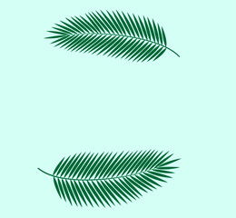 two beautiful sheets on a light green background