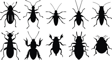 Crawling insect silhouettes including ants, beetles, and bugs – black vector collection