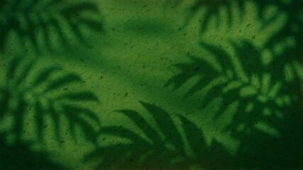 4K Seamless loop of tropical leaf shadows on textured green wall, swaying plant silhouettes with copy space, botanical animation overlay for eco branding, motion graphics, presentation background