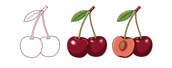 Three distinct cartoon cherry illustrations: outline, full color pair, and a detailed half-cut view with its pit