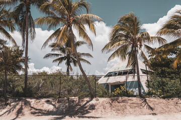 Pyramid ruins building in the tropical jungle in Mexico.