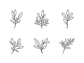 Olive Leaves Minimalist Line Art