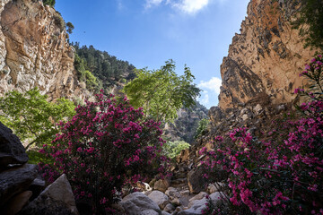 boulders and rugged rocks of the Avakas Gorge on the island of Cyprus
