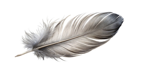 Single gray bird feather isolated on a white background png ai generated