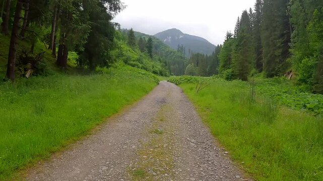 Ludrovska dolina valley in Low Tatras mountains in Slovakia during cloudy early summer day