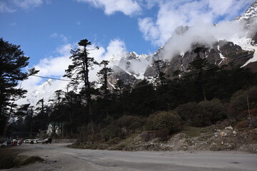 Darjeeling and Sikkim, nestled in the eastern Himalayas, offer breathtaking mountain landscapes, serene monasteries, and lush tea gardens. 