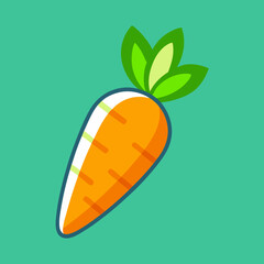 vector illustration of an orange fruit