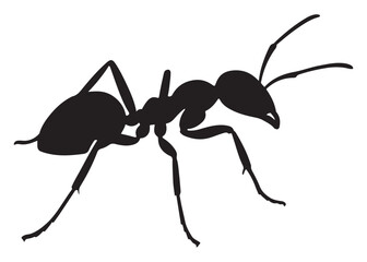 ant logo vector silhouette illustration, vector illustration of ant logo icon design, vector of a black silhouette ant, black ant silhouette isolated on white background.
