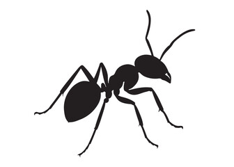 ant logo vector silhouette illustration, vector illustration of ant logo icon design, vector of a black silhouette ant, black ant silhouette isolated on white background.