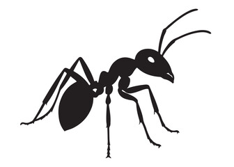ant logo vector silhouette illustration, vector illustration of ant logo icon design, vector of a black silhouette ant, black ant silhouette isolated on white background.