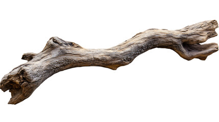 Obraz premium dead tree trunk PNG 