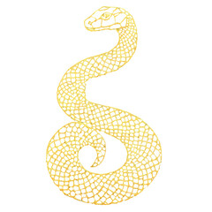 Fototapeta premium Stylized snake illustration with gold lattice pattern and blue accents, set against transparency background, creating modern