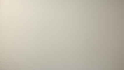 Background featuring a blank paper texture with light rough spots