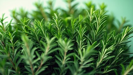 Obraz premium Full frame background featuring close-up of green leaves.