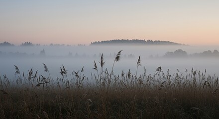 Silhouetted of Reed Grass in The Meadow with Serene Foggy Landscape. Generative AI.