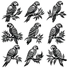 Parrot perched Silhouette vector illustration, Parrot bird vector illustration