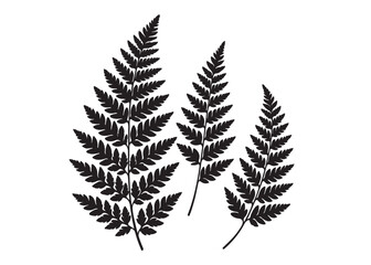 fern leaves logo vector silhouette illustration, fern leaf logo icon silhouette, bracken fern leaf silhouettes vector illustration, black silhouette of a fern leaf on white background. © Adobe design