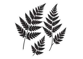 fern leaves logo vector silhouette illustration, fern leaf logo icon silhouette, bracken fern leaf silhouettes vector illustration, black silhouette of a fern leaf on white background. © Adobe design