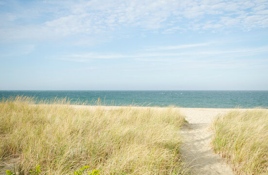 Marram grass and sandy path to Siasconset Beach