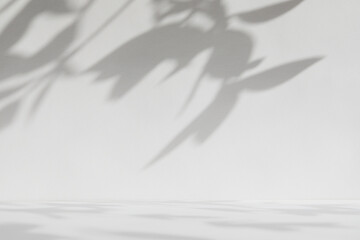 White surface with�shadows of leaves