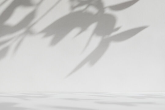 White surface with�shadows of leaves