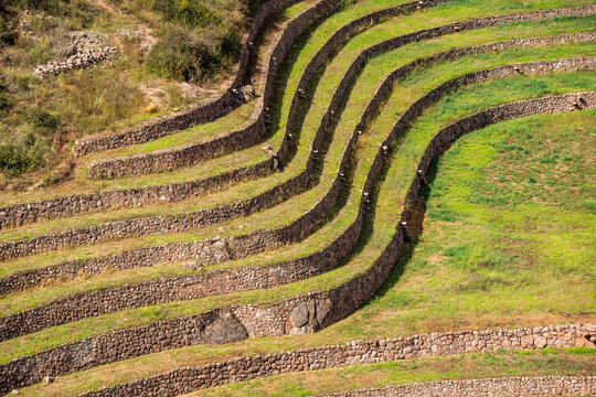 Terraced Inca ruins in Sacred Valley of the Incas