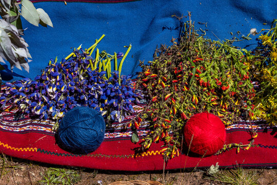 Colorful balls of naturally dyed alpaca yarn and native plants