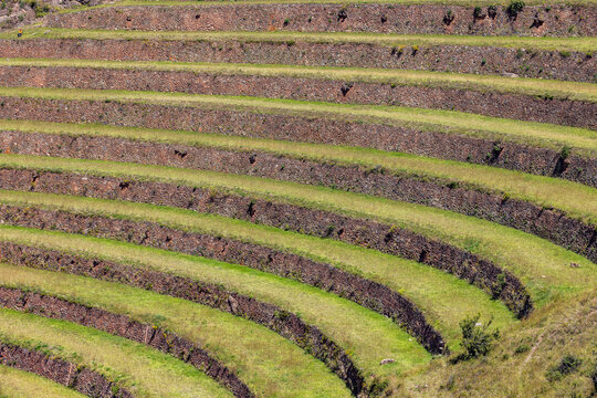 Terraced Inca ruins in Sacred Valley of the Incas