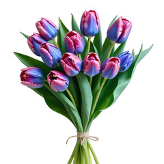 Bouquet of purple tulips, isolated on transparent background, png