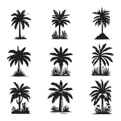 Obraz premium Collection of palm tree silhouettes in Adobe Illustrator Artwork