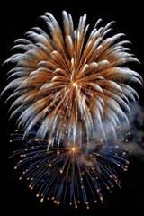 Golden and blue fireworks display against a black sky