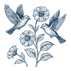 Hand drawn illustration of a birds flying near flowers- Vector, JEPG, PNG