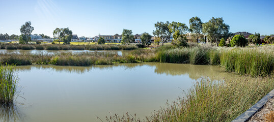 Suburban wetland in Point Cook, Melbourne, Australia,  surrounded by reeds, grasses, and residential housing in the background. Concept of urban ecological design, stormwater management © Doublelee
