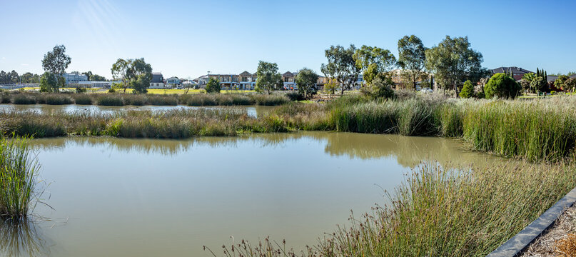 Suburban wetland in Point Cook, Melbourne, Australia,  surrounded by reeds, grasses, and residential housing in the background. Concept of urban ecological design, stormwater management