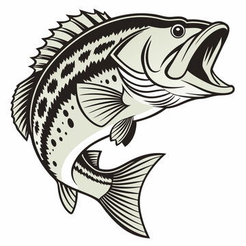 jumping bass fish black and white clip art preview