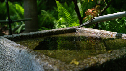 fountain in the park