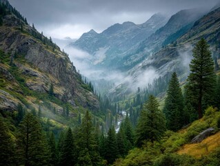 Fototapeta premium Misty Mountain Valley Landscape with Lush Greenery