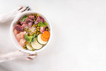 Plakat BARF food healthy bowl for domestic pets background