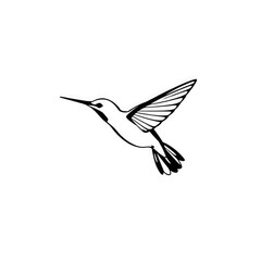 Obraz premium flying bird with transparent background PNG and JPEG image 