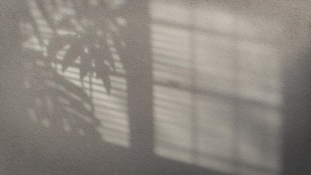 4K Seamless loop of window blinds and tropical leaf shadows on gray wall, soft daylight animation with copy space, spa and wellness background, ambient overlay for beauty industry branding and design