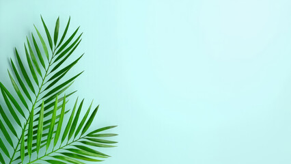 Fresh green palm leaves displayed on a minimalist light blue background for creative design
